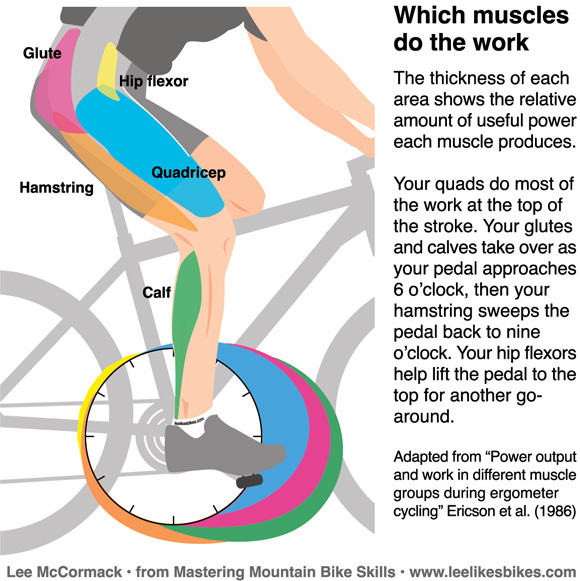 The Perfect Pedal Stroke and How to Train for It