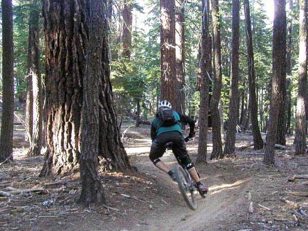 Jim rips along the middle section of Toads. Look at those trees, look at those turns!