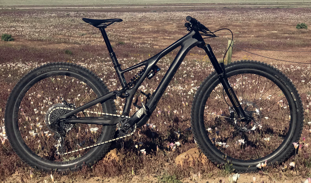 Riding the Stumpjumper EVO 29 Pro Carbon Lee Likes Bikes
